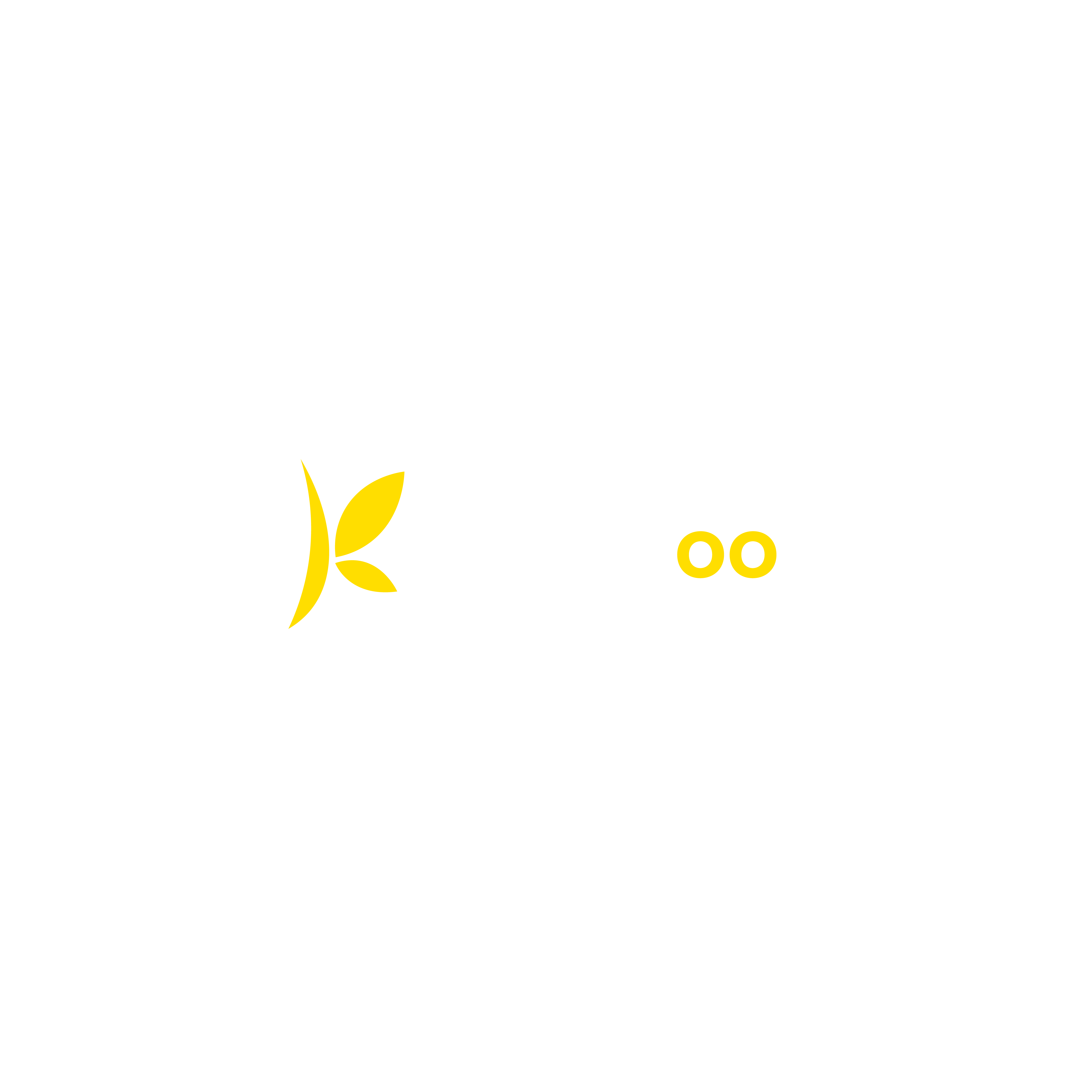 Logo de KALKULOO